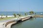 Vista do Lago de Palmas  (Foto: Antonio Gonçalves / Divulgação Prefeitura de Palmas)