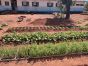 Ações realizadas na Escola Estadual Floresta através do projeto de Qualificação e Autonomia Econômica de Mulheres desenvolvido pela Proex/ Foto: Divulgação 